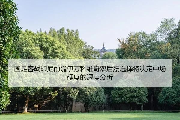 国足客战印尼前瞻伊万科维奇双后腰选择将决定中场硬度的深度分析