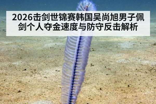 2026击剑世锦赛韩国吴尚旭男子佩剑个人夺金速度与防守反击解析