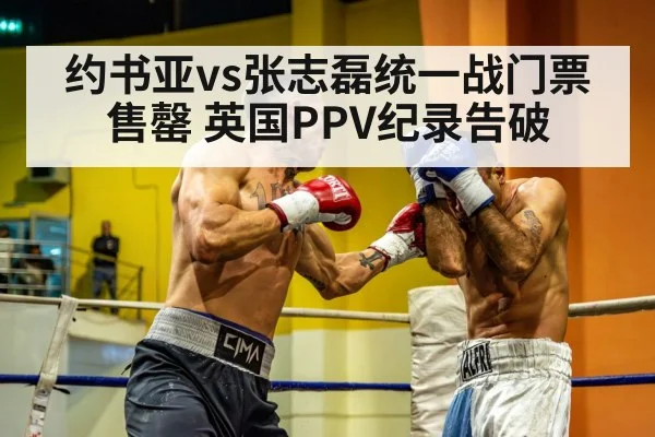 heavyweight boxing match
