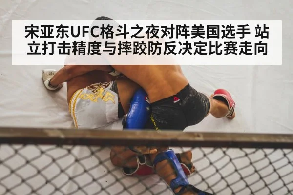 MMA wrestling takedown octagon